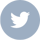 social-icon-twitter_hi-res